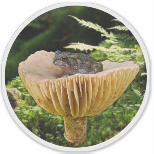 Tiny Toad on a Mini Mushroom with Ferns Sticker (Voorkant)