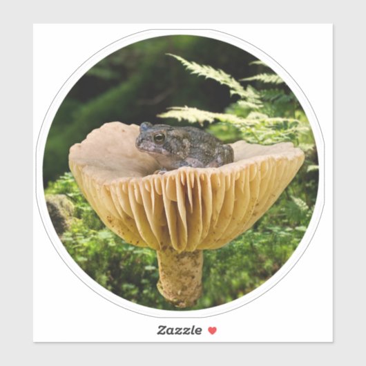 Tiny Toad on a Mini Mushroom with Ferns Sticker (Vel)