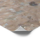 Tiny Toad Poster (Hoek)