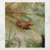 Tiny Toad Wijn Etiket (Enkel label)