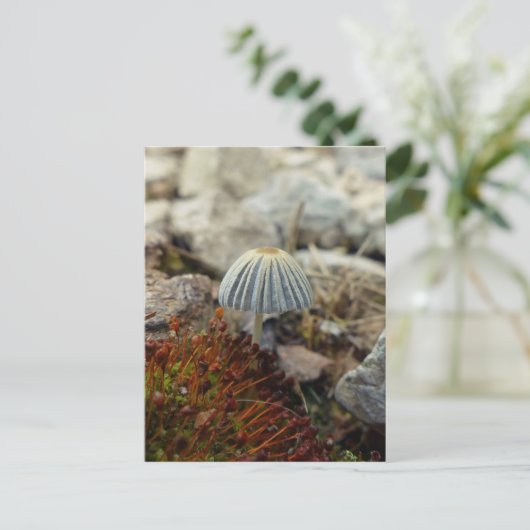 Tiny Toadstool Briefkaart (Staand voorkant)