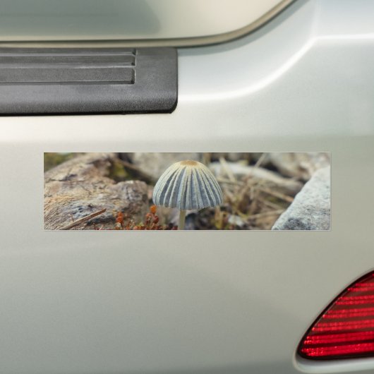 Tiny Toadstool Bumpersticker (Op auto)