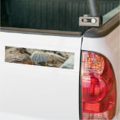 Tiny Toadstool Bumpersticker (Op Truck)