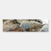 Tiny Toadstool Bumpersticker (Voorkant)