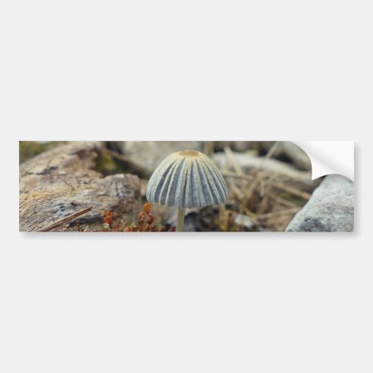 Tiny Toadstool Bumpersticker (Voorkant)