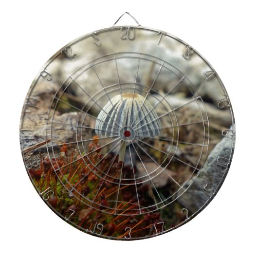 Tiny Toadstool Dartbord (Voorkant)