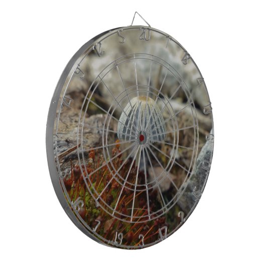 Tiny Toadstool Dartbord (Voorkant Links)