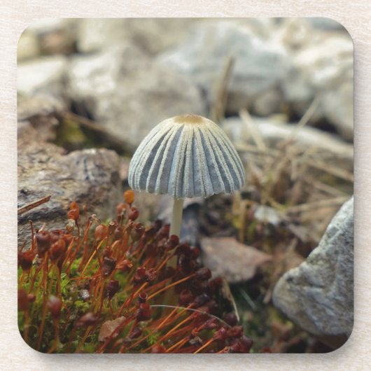 Tiny Toadstool Drankjes Onderzetter (Voorkant)