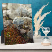 Tiny Toadstool Fotoplaat (Zijkant)