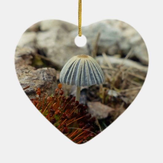 Tiny Toadstool Keramisch Ornament (Achterkant)