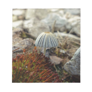 Tiny Toadstool Notitieblok