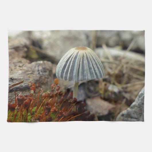 Tiny Toadstool Theedoek (Horizontaal)