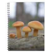Tiny Toadstools macro Notitieboek (Voorkant)