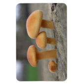 Tiny Toadstools Macro Premium Magneet (Verticaal)