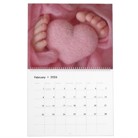 Tiny Toes Calendar Kalender (Feb 2026)