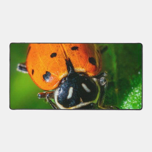 Tiny Traveler: Ladybug on a Leaf Bureaumat (Voorkant)