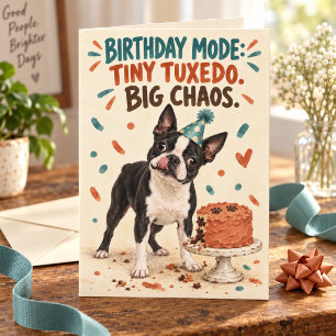 Tiny Tuxedo Grote Chaos Boston Terrier Verjaardag Kaart