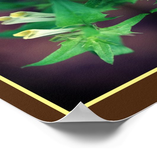 Tiny White Wildflower Close Up Mirror Abstract Poster (Hoek)