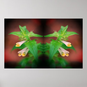 Tiny White Wildflower Close Up Mirror Abstract Poster