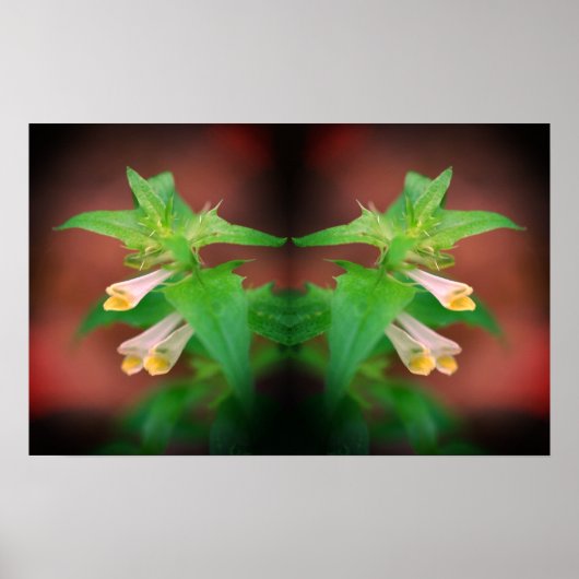 Tiny White Wildflower Close Up Mirror Abstract Poster (Voorkant)