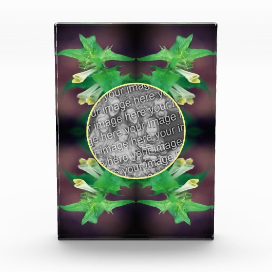 Tiny White Wildflower Creëer Uw Eigen Fotoblokken (Voorkant)