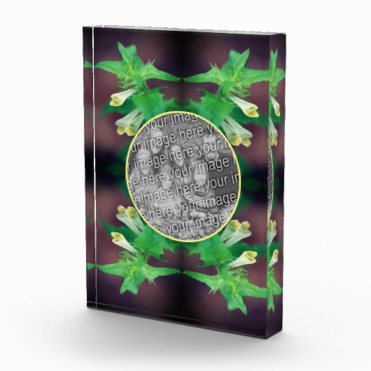 Tiny White Wildflower Creëer Uw Eigen Fotoblokken (Rechts)