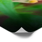 Tiny White Woodland Wildflower Close-up Poster (Hoek)