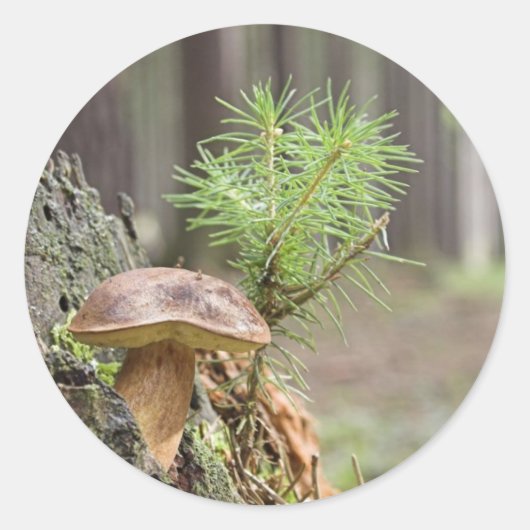 Tiny Wild Mushroom Ronde Sticker (Voorkant)