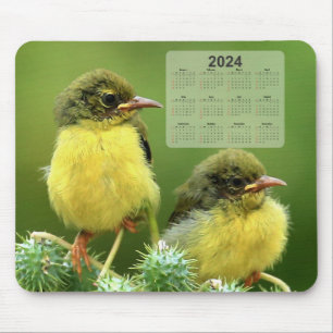 Tiny Yellow Birds op een groen Plant 2024 Kalender Muismat