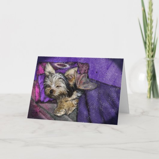 Tiny Yorkie Sleeping Angel Halo Memorial Art Kaart (Voorkant)
