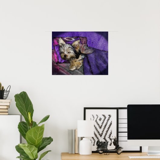 Tiny Yorkie Sleeping Angel Wings & Halo Poster (Thuiskantoor)