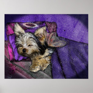 Tiny Yorkie Sleeping Angel Wings & Halo Poster
