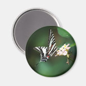 Tiny Zebra Magnet (Voorkant / Achterkant)