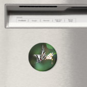 Tiny Zebra Magnet (Insitu (Vaatwasser))