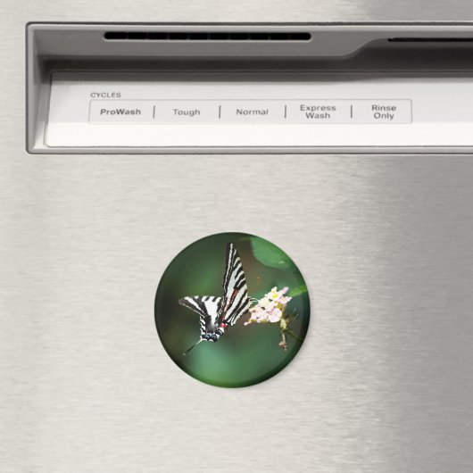 Tiny Zebra Magnet (Insitu (Vaatwasser))