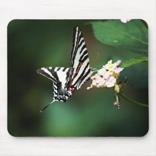 Tiny Zebra Mousepad Muismat (Voorkant)