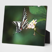 Tiny Zebra Plaque Fotoplaat (Zijkant)