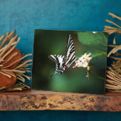 Tiny Zebra Plaque Fotoplaat (Zijkant)