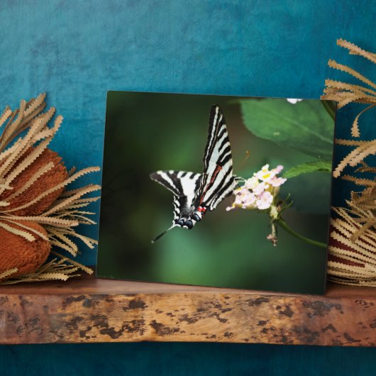 Tiny Zebra Plaque Fotoplaat (Zijkant)