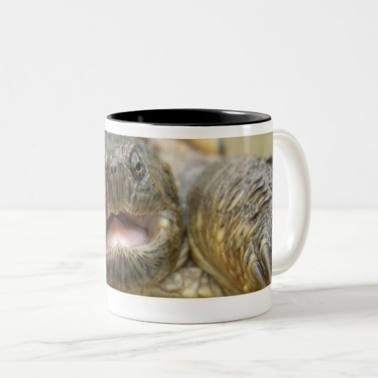 Tinytwo 02 tweekleurige koffiemok (Voorkant rechts)