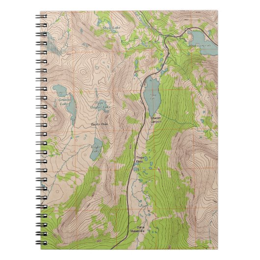 Tioga Pass, California Topographic Map Notitieboek (Voorkant)