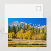 Tioga Pass Yosemite National Park Briefkaart (Voorkant / Achterkant)