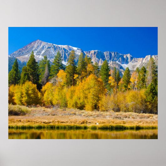 Tioga Pass Yosemite National Park Poster (Voorkant)