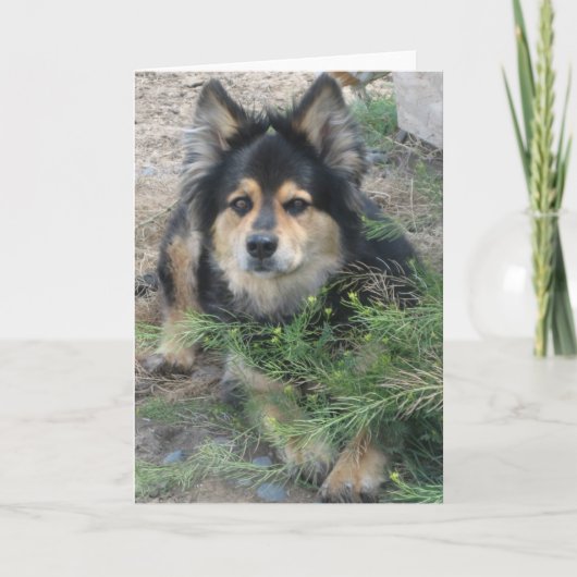 "Tip" Kaart (Voorkant)