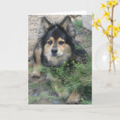 "Tip" Kaart (Gele Bloem)