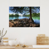 Tip van RedBud Isle op LadyBird Lake - Austin TX Poster (Keuken)