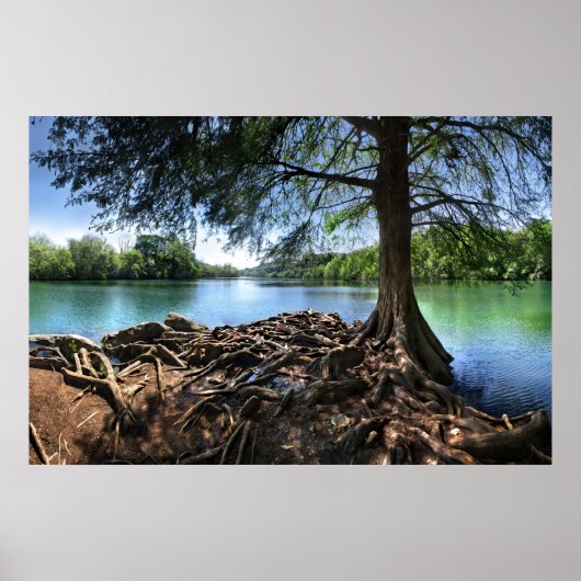 Tip van RedBud Isle op LadyBird Lake - Austin TX Poster (Voorkant)