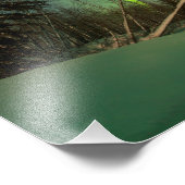 Tipping Spruce Aurora Foto Afdruk (Hoek)