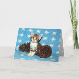 Tippy's Winter pinecones - Kat / Keukenkerst Feestdagen Kaart