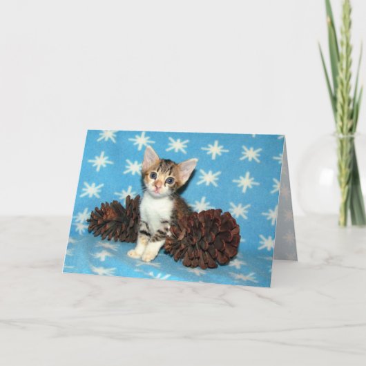 Tippy's Winter pinecones - Kat / Keukenkerst Feestdagen Kaart (Voorkant)